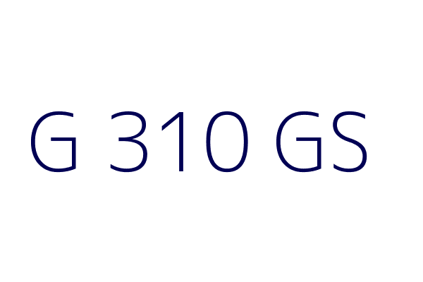 G 310 GS